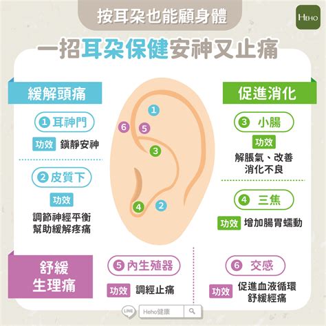 耳朵貼耳|耳穴按壓與保健 